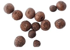 BioPerine
