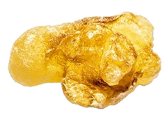 Boswellia Serrata