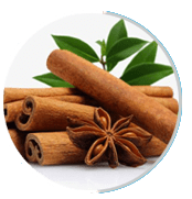 Cinnamomum Cassia