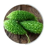 Mormordica charantia
