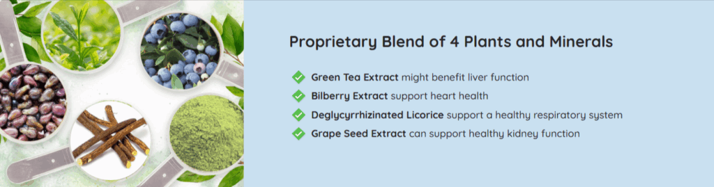 Neuro Surge Ingredients