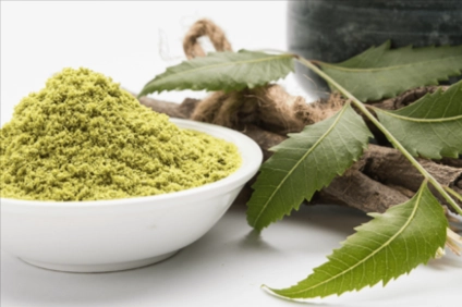Neem Leaf Powder
