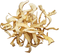 Solomon’s Seal