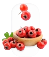 hawthorn