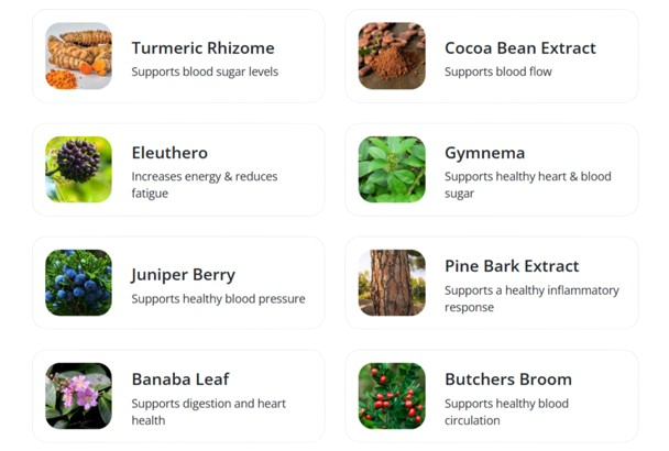 CelluCare Key Ingredients